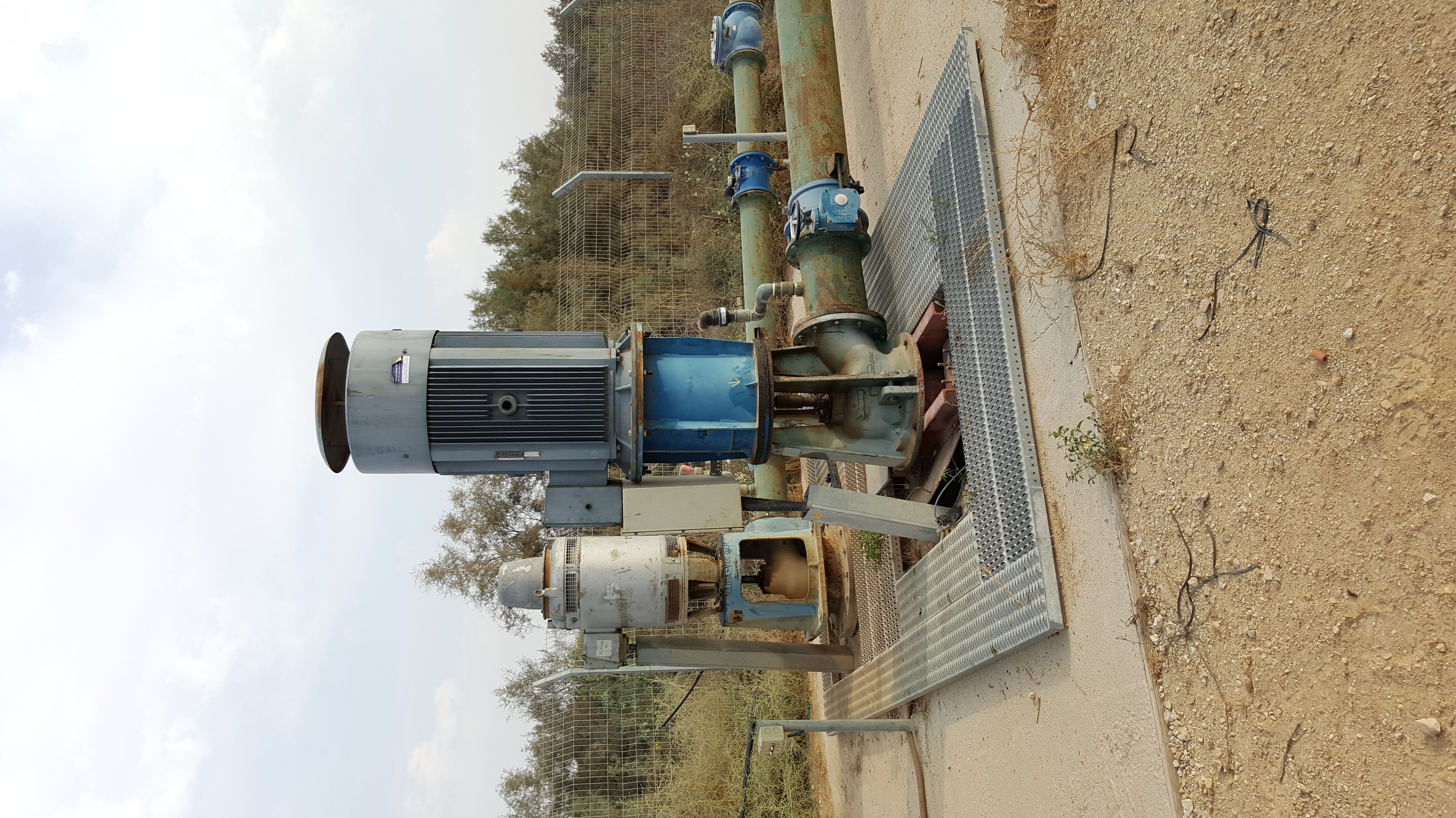 משאבות נקז צאלים